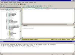 Bildschirmfoto-JTLwawi-Fehler-falscher-Parameter-sql-delete
